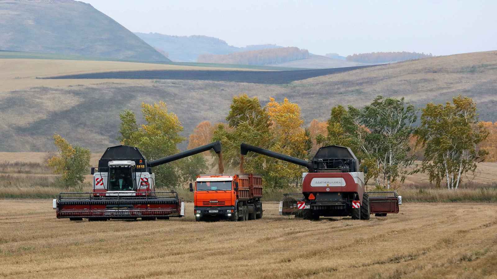 في سابقة من نوعها.. روسيا تسيطر على أصول إحدى أكبر شركات الحبوب