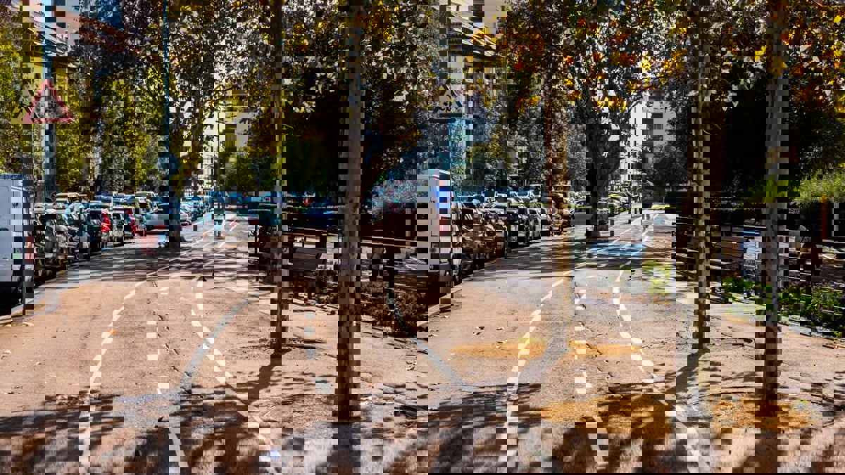 مستشعر يتعقب حالة الأشجار في المدن على مدار فصول السنة