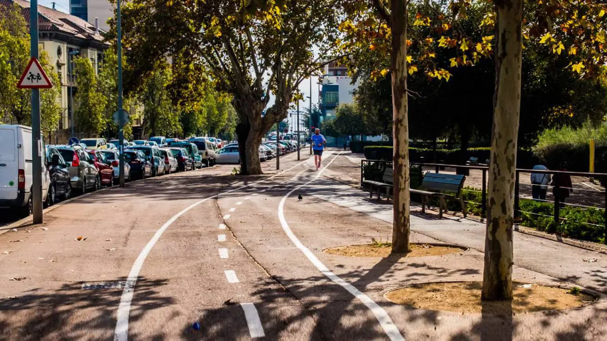 مستشعر يتعقب حالة الأشجار في المدن على مدار فصول السنة