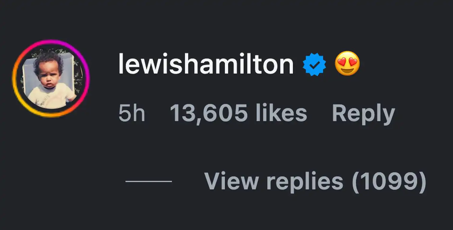 تعليق لويس هاميلتون