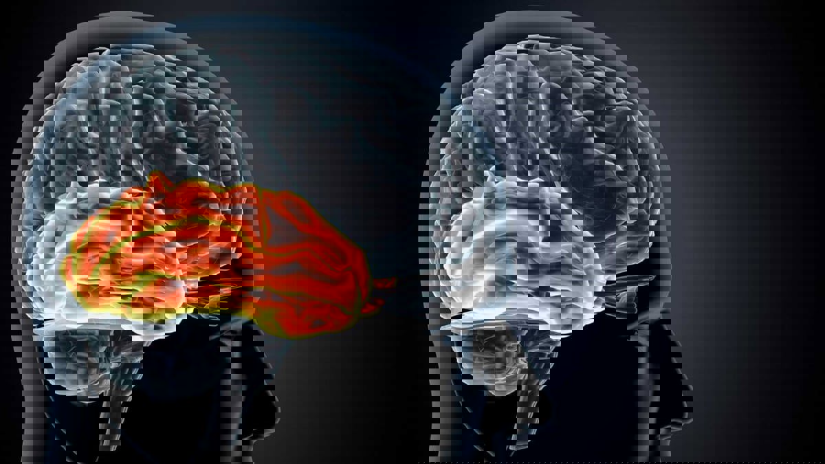 اختبار دم نوعي للكشف عن السكتة الدماغية