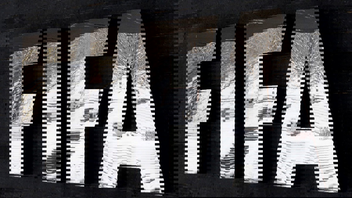 الفيفا يواجه انتقادات من جماهير بسبب توزيع المقاعد في مباريات كأس العالم للسيدات