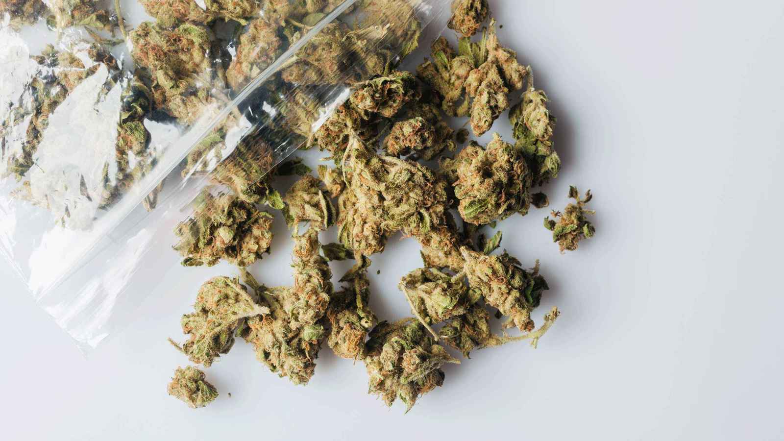 الماريغوانا تهدد القلب.. خطر صامت يتزايد مع التعاطي