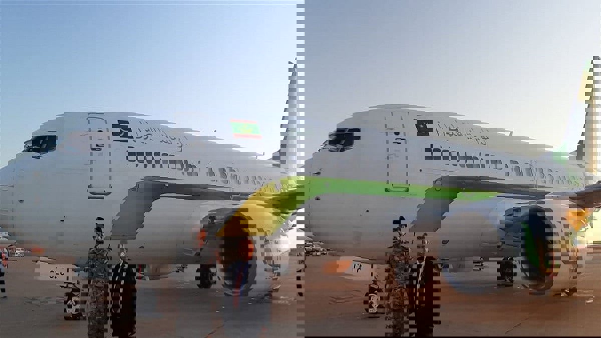 "أريد سمكتي".. الجيش اللبناني يعلق على "اختفاء" أطنان الأسماك المقدمة من موريتانيا