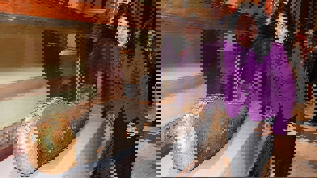 خبيرة مصرية تكشف خفايا التحنيط زمن الفراعنة