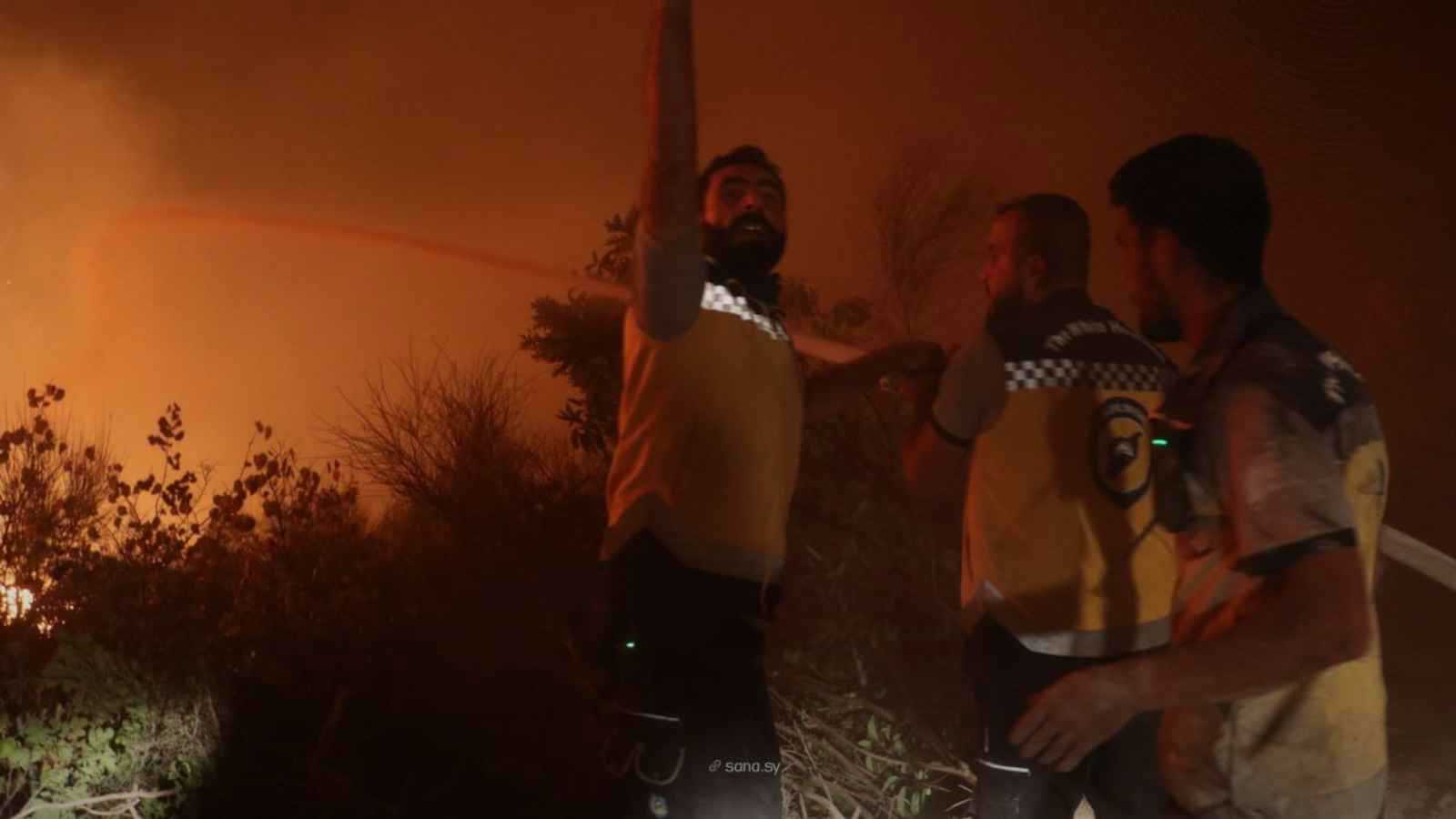 الحرائق تتمدد في جبل التركمان وجهود سورية لكبح النيران (فيديو)