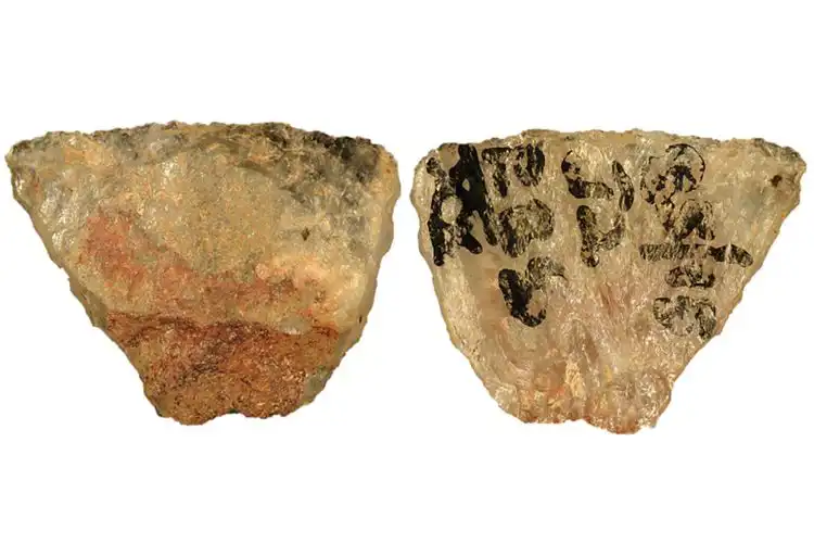 رؤوس السهام السامة في جنوب أفريقيا