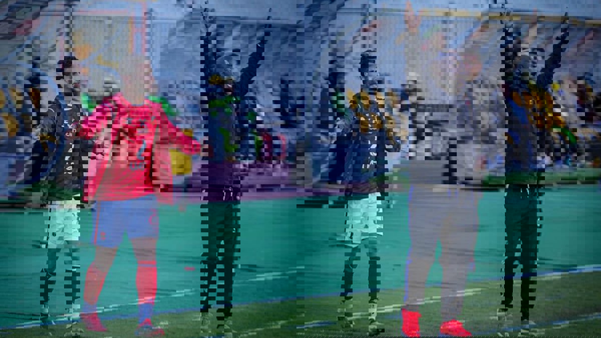 رد فعل عنيف من موسيماني مدرب الأهلي تجاه أحد الصحفيين بسبب سؤال عن كهربا (فيديو)