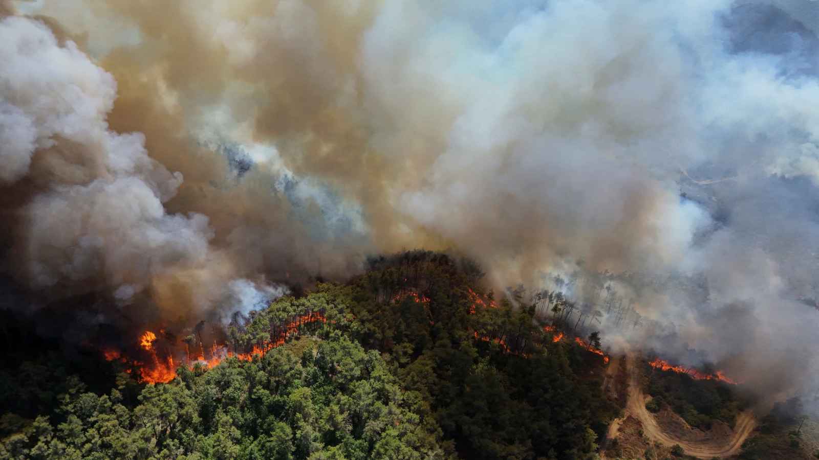 حرائق سوريا تستعر.. 3 دول و16 طائرة في مواجهة الكارثة (فيديو)