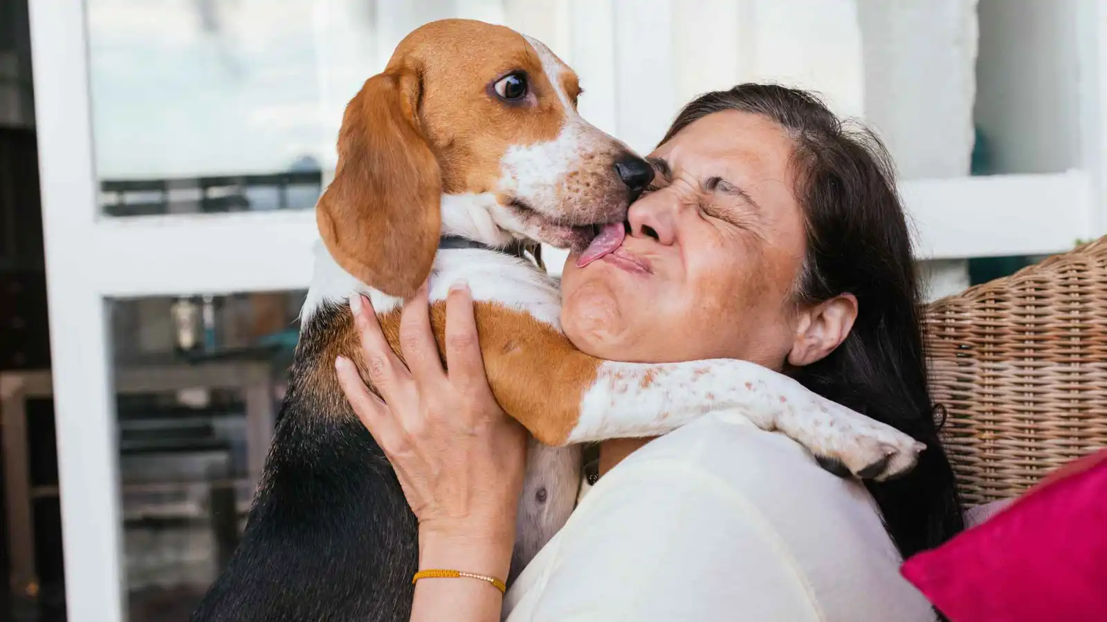 بسبب"لعقة كلب".. امرأة تفقد أطرافها بتسمم نادر (صور)