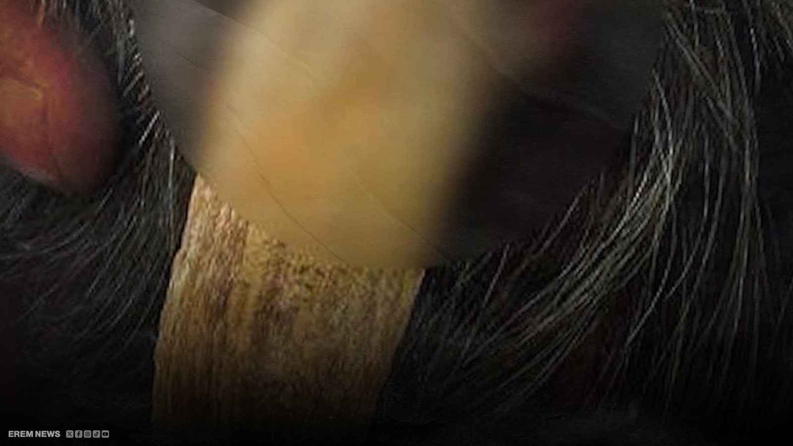 قرن الشيطان