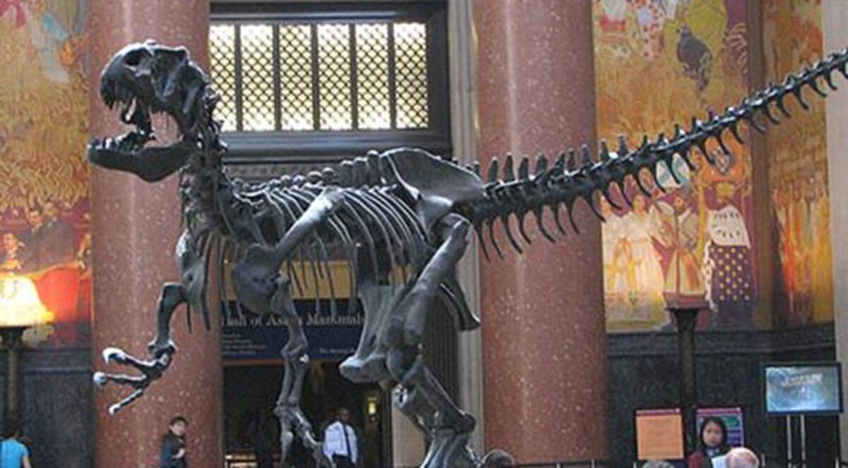 أمريكا.. إصابة 13 شخصاً في انفجار كيميائي داخل متحف