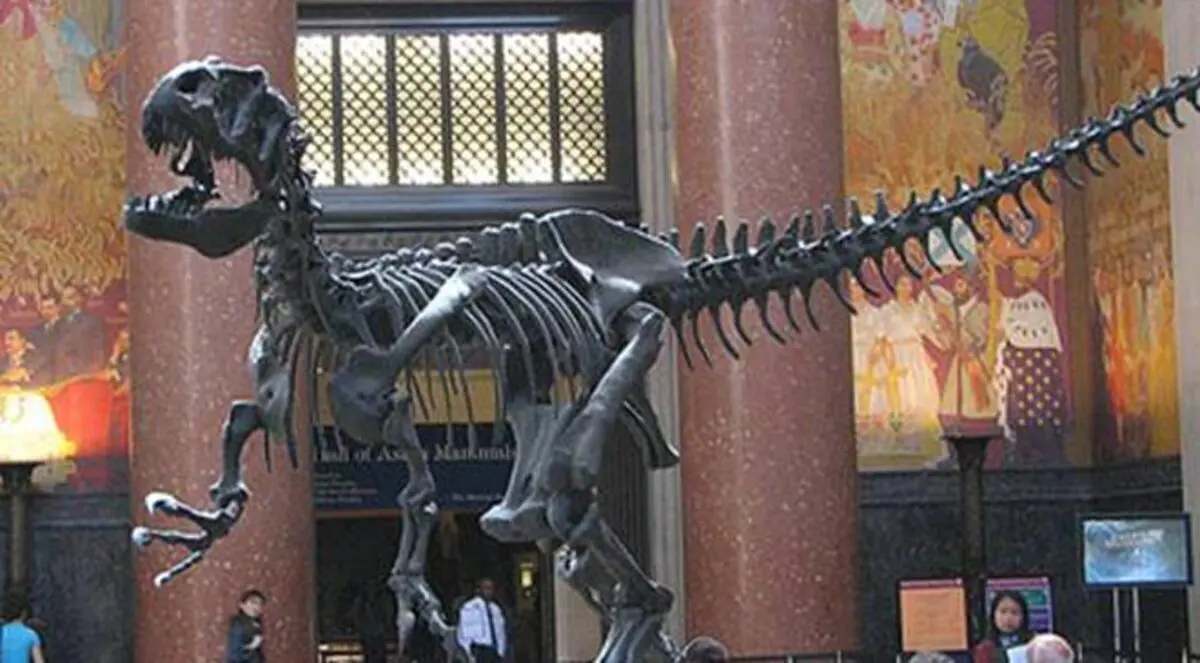 أمريكا.. إصابة 13 شخصاً في انفجار كيميائي داخل متحف