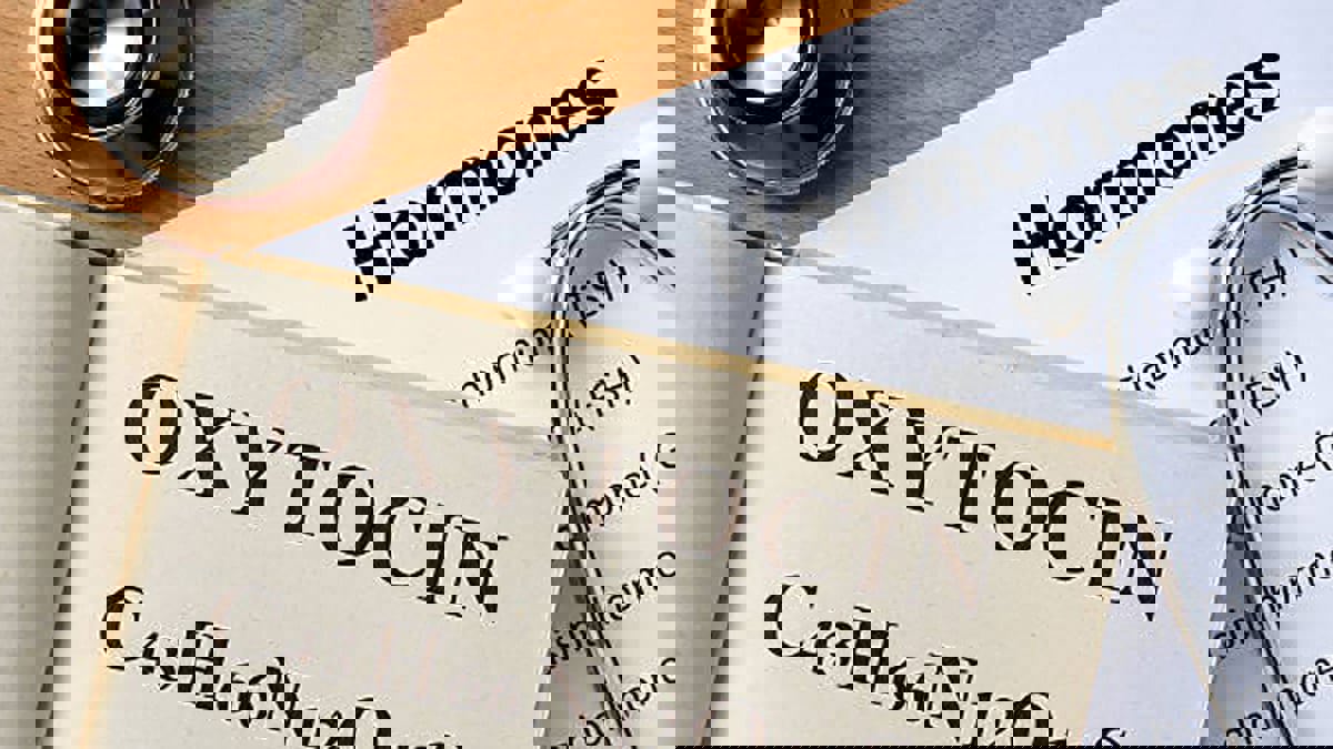 ما علاقة "هرمون الحب" بمرض الزهايمر؟
