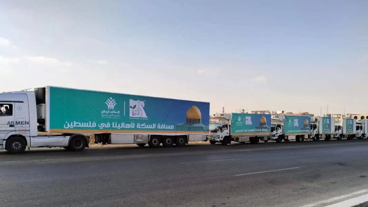 الصحة العالمية: نأمل دخول المساعدات الطبية إلى غزة غدا