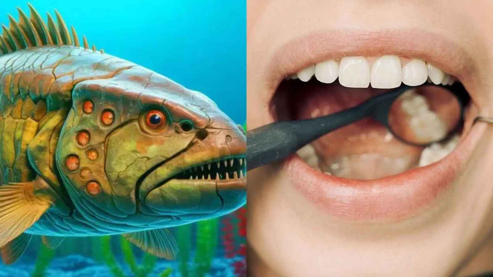 أصل آلام الأسنان.. سمكة عمرها 465 مليون سنة تكشف السرّ