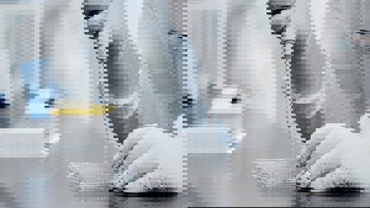 للمرة الأولى في المختبر.. جنين فأر بقلب نابض من خلايا جذعية