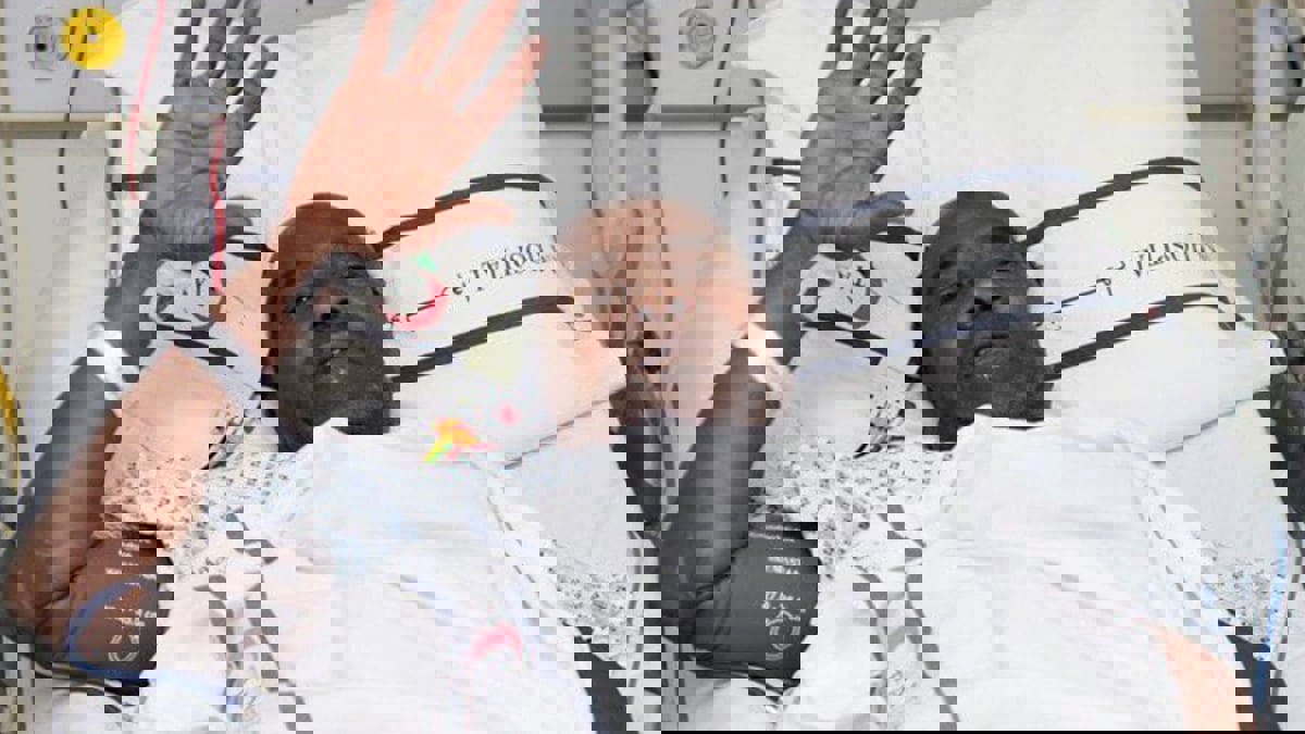 نادي العين الإماراتي ينعى عميد مشجعيه العم ياسين "أبو عماد"