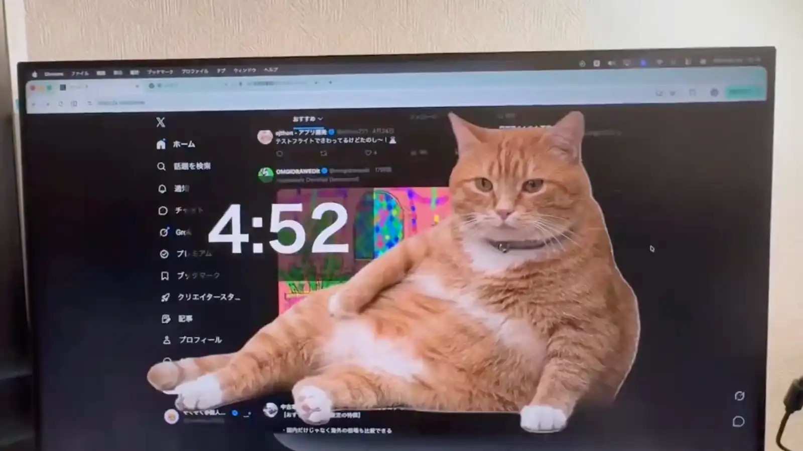 ابتكار يثير الجدل.. قط يحجب الشاشة للحد من إدمان مواقع التواصل (فيديو)