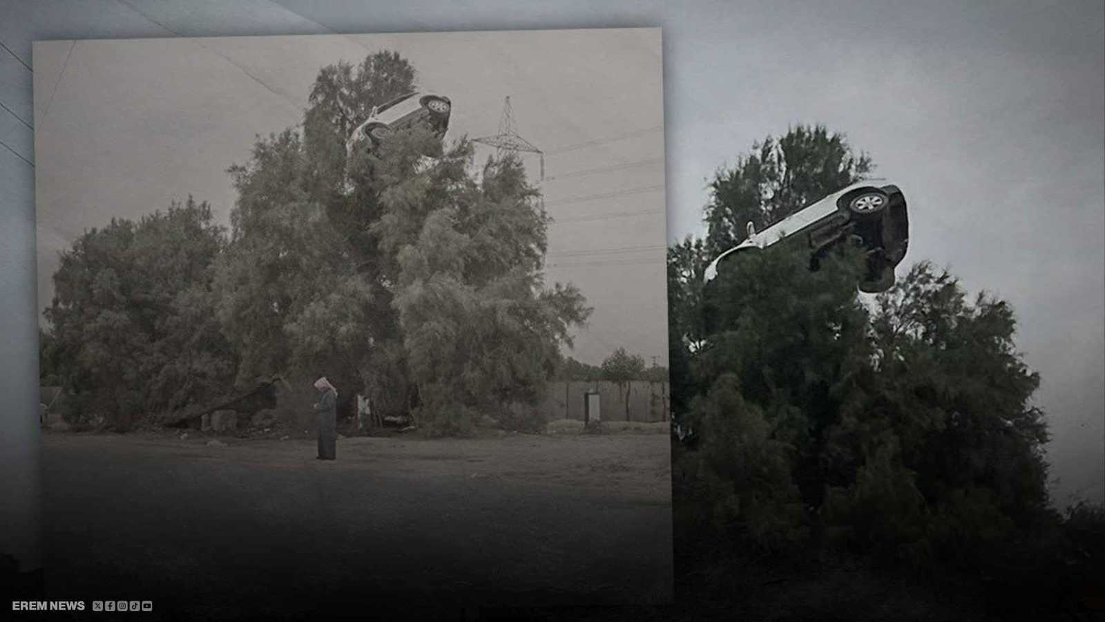 سيارة فوق شجرة تثير الجدل في الكويت (فيديو إرم)