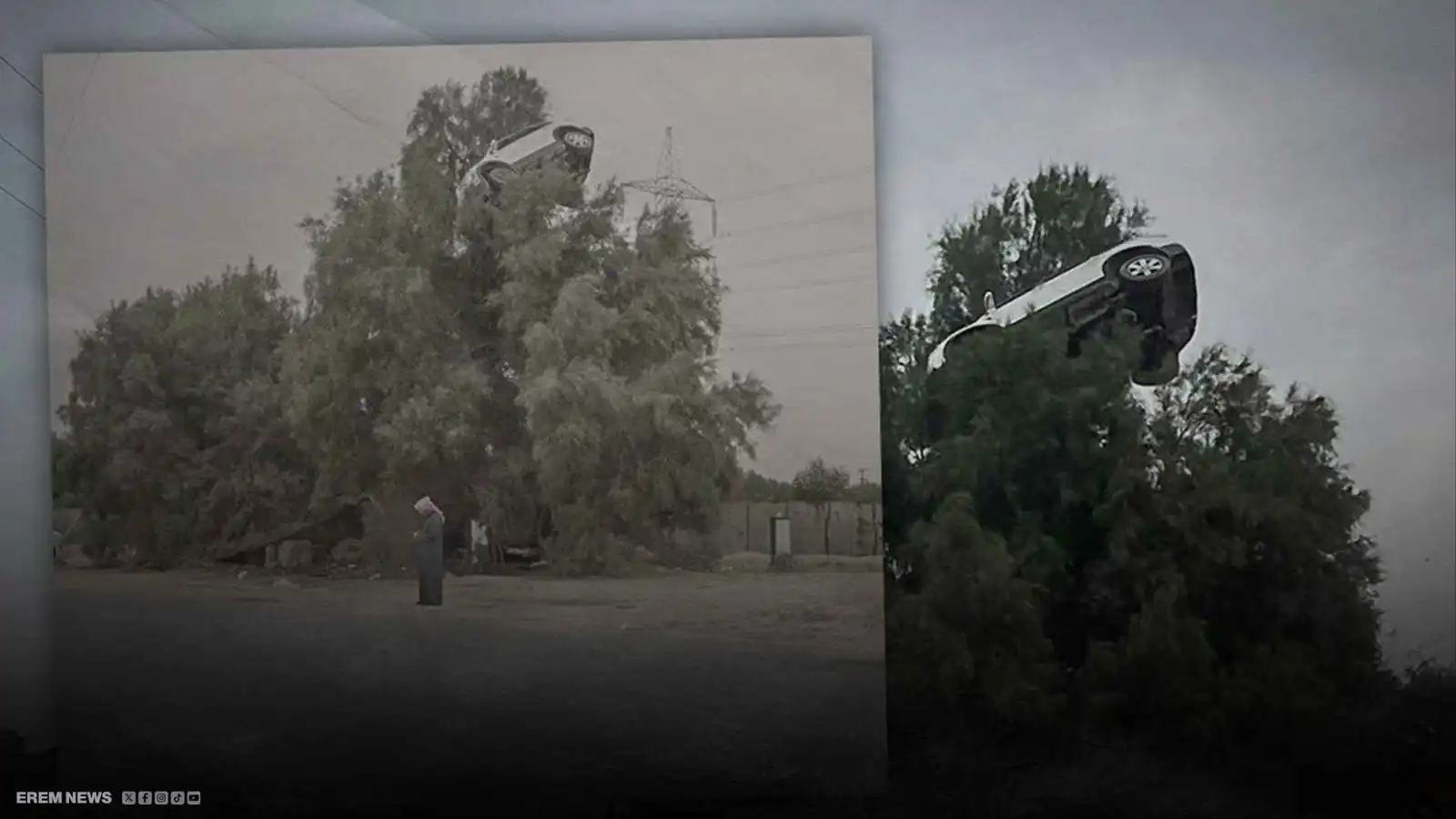 سيارة فوق شجرة تثير الجدل في الكويت (فيديو إرم)