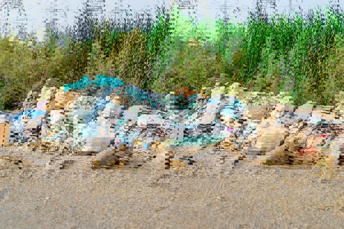 السعودية.. مقيم يتورط بمخالفة بيئية غرامتها 2.6 مليون دولار