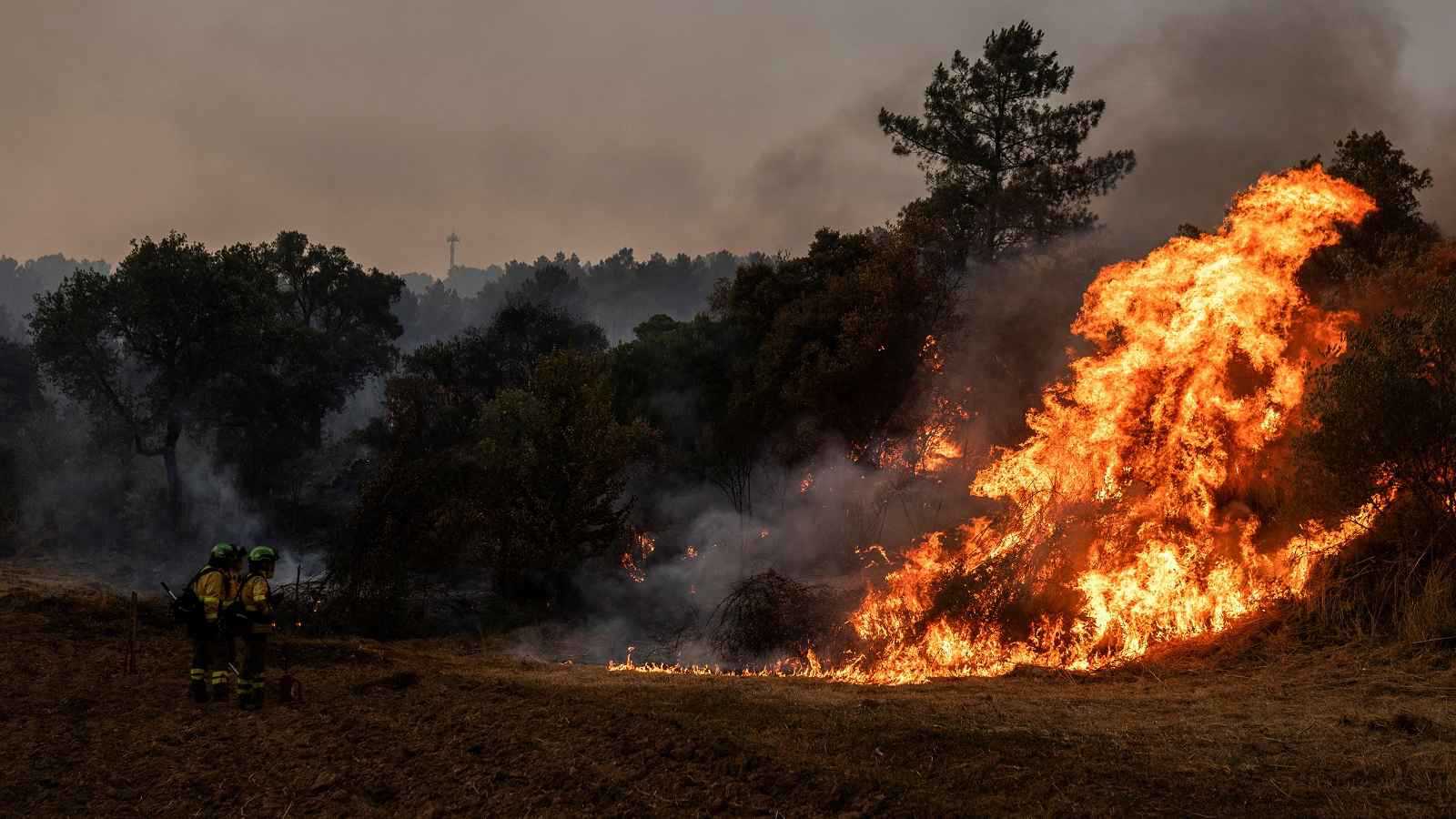 حرائق إسبانيا تستعر.. النيران تأتي على 343 ألف هكتار (فيديو)