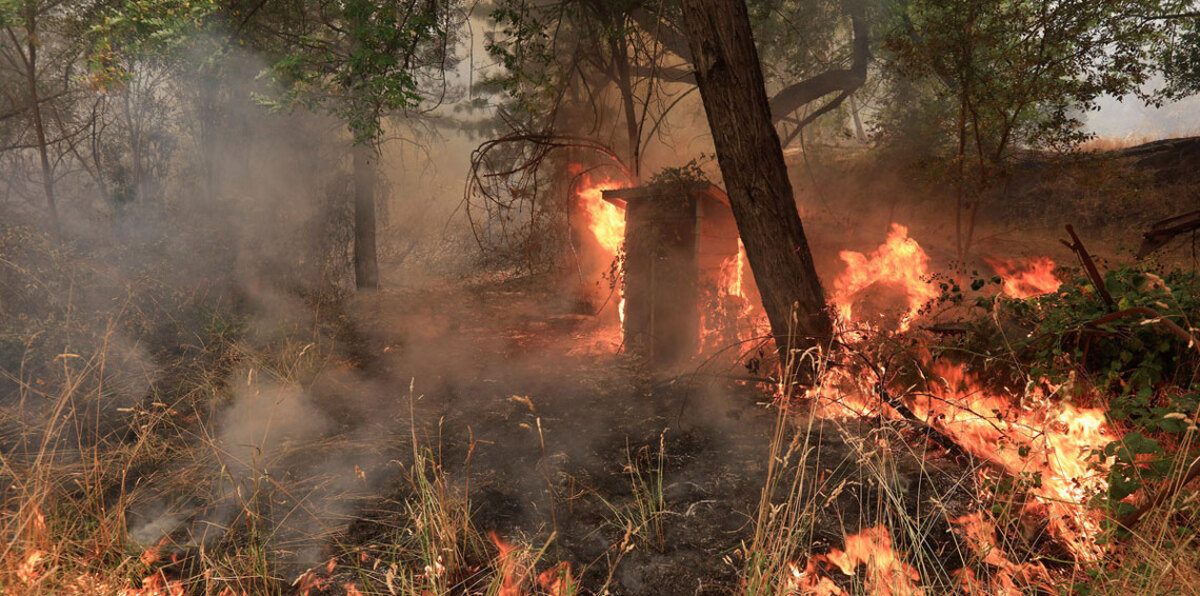 ناجون يروون تفاصيل "مروعة" عن اجتياح النيران أحياءهم ومنازلهم في كاليفورنيا