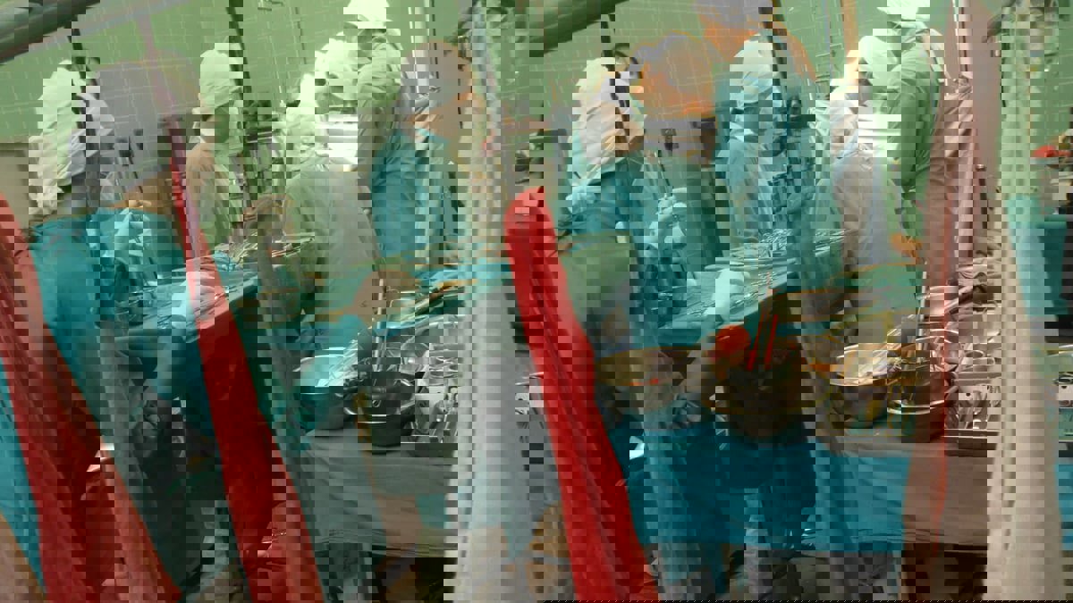 "التبرع بالأعضاء" ينقذ حياة 11 سعوديا