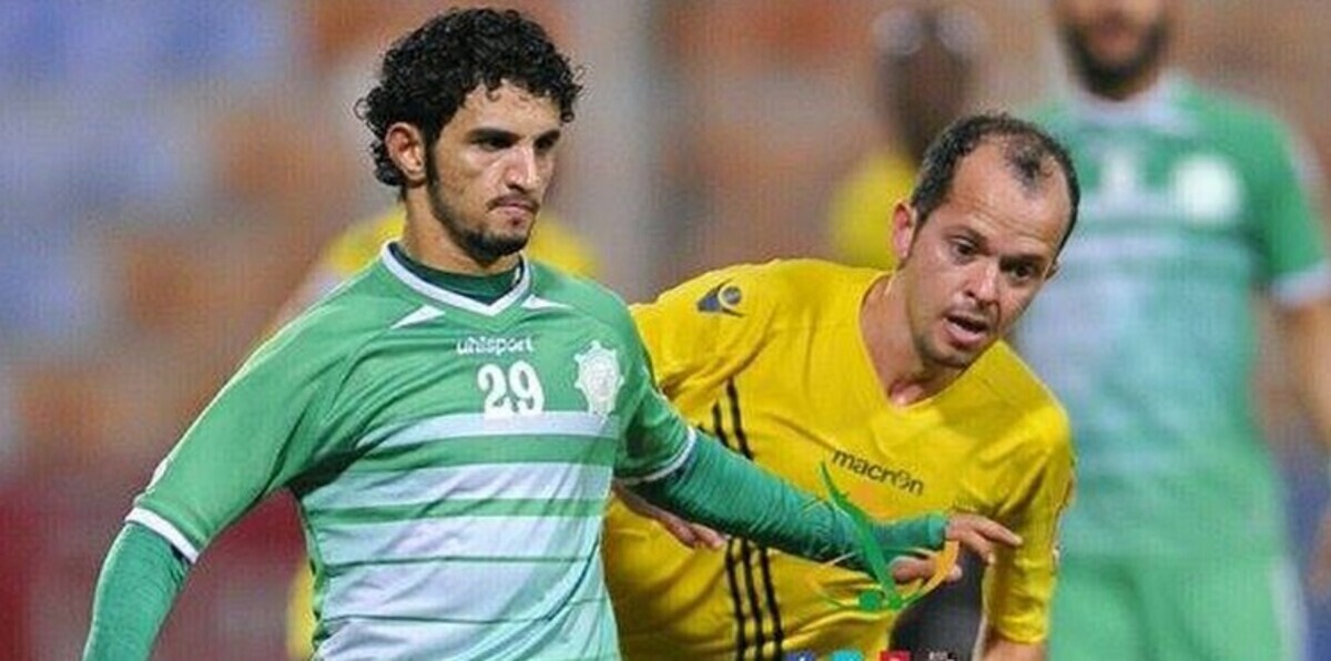 أبرز طيور اليمن المهاجرة