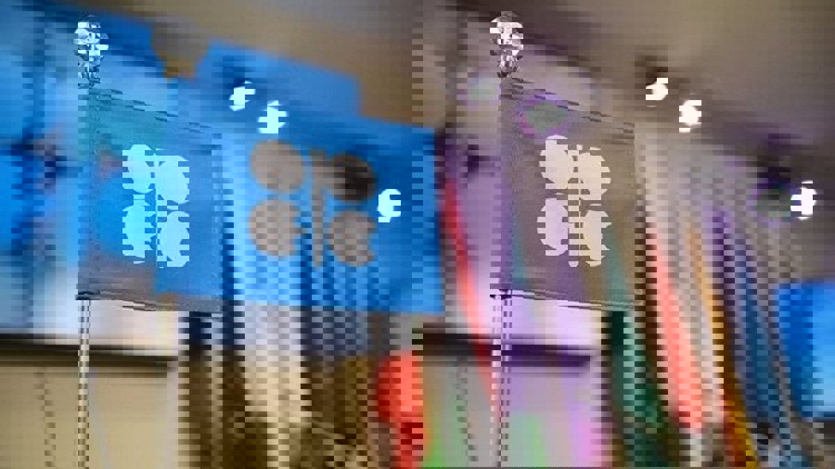 "أوبك+" تقرر زيادة محدودة لإنتاجها من الخام في شهري فبراير ومارس