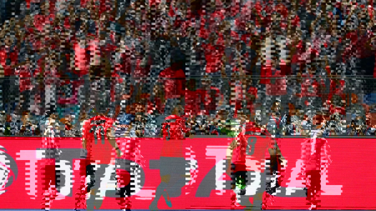 أحمد المحمدي يدعم عمرو وردة.. ومحمد صلاح يسجل أول أهدافه في أمم أفريقيا 2019 (شاهد)