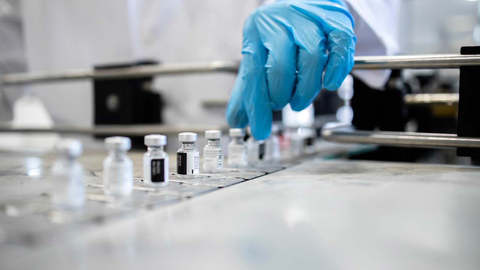 دراسة تكشف دور الخلايا الضخمة في تعزيز فاعلية اللقاحات