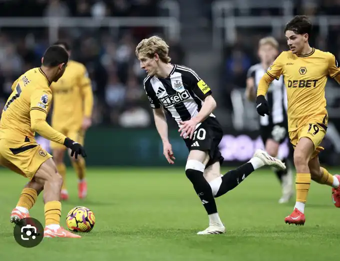 أنطوني غوردون