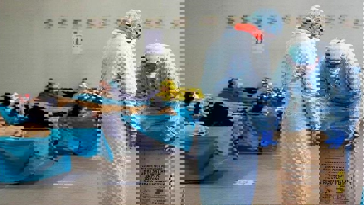 أقل حصيلة يومية منذ أسبوعين.. إيطاليا تسجل 525 وفاة بكورونا