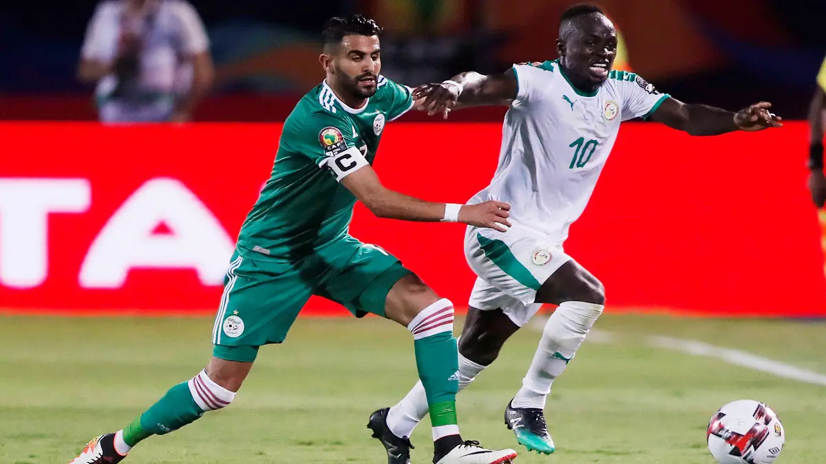 نهائي كأس الأمم الأفريقية.. الجوائز الفردية تغازل مدربي ونجوم الجزائر والسنغال