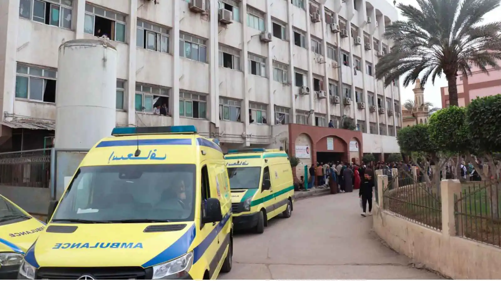 عشرات القتلى والجرحى بحادث سير مروّع في مصر (فيديو)