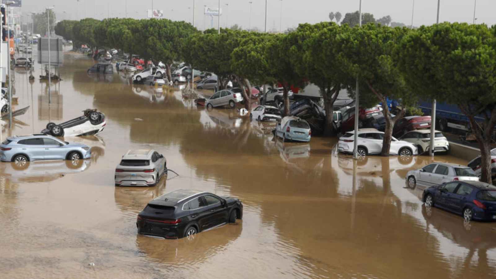 إسبانيا تنشر 15 ألف شرطي في فالنسيا المتضررة بالسيول (فيديو)