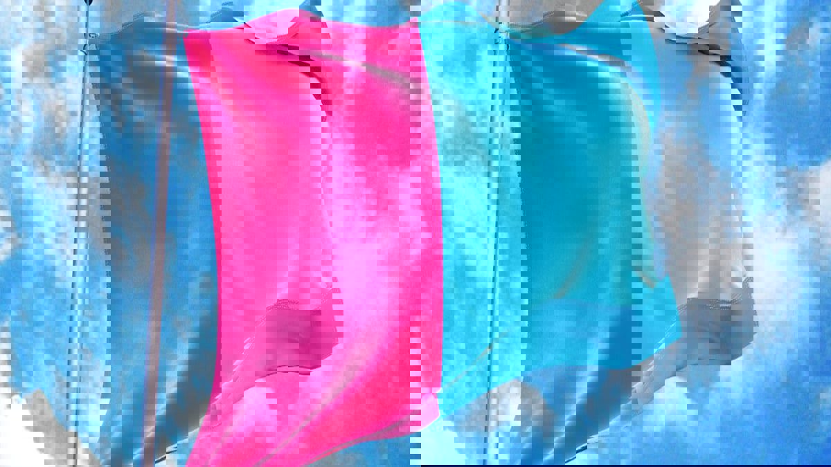 لها عَلَم بلونين مضاد للمثليين.. ما هي "فطرة" ؟