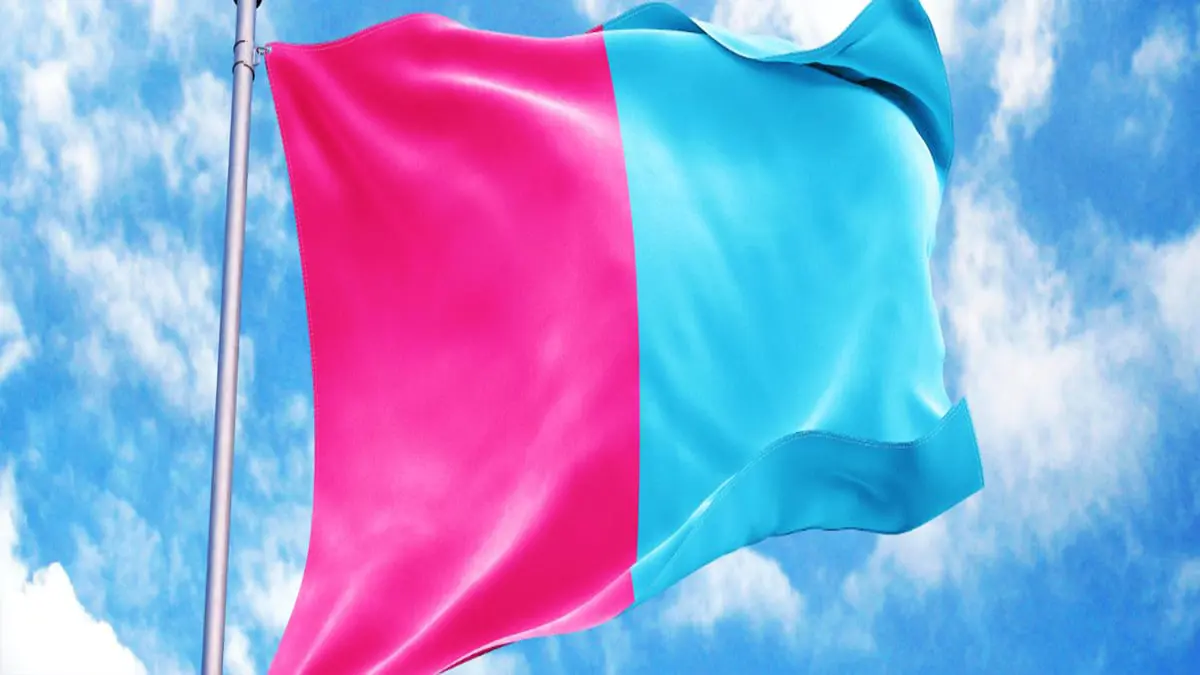 لها عَلَم بلونين مضاد للمثليين.. ما هي "فطرة" ؟