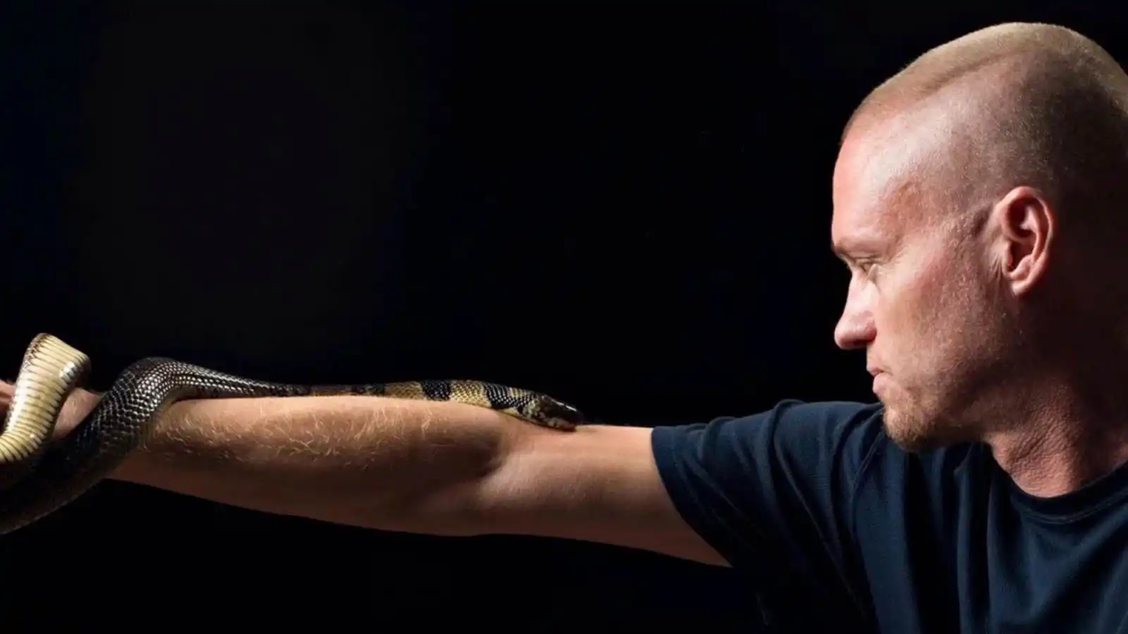 200 لدغة أفعى.. رجل يخاطر بحياته من أجل مصل