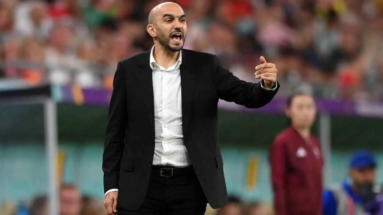 "لن نكون بمأمن".. من "الحصان الأسود" الذي حذر منه الركراكي بعد قرعة أمم إفريقيا؟