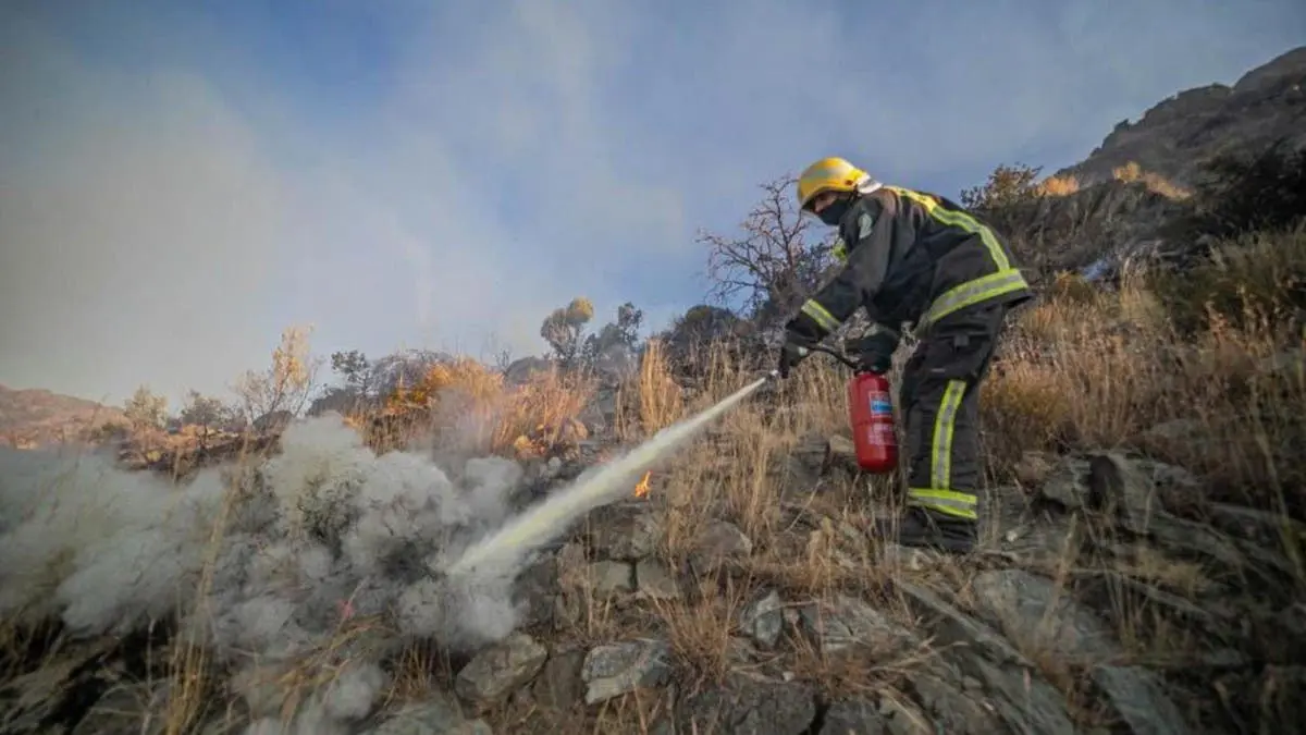 السعودية.. القبض على ثلاثة متسللين إثيوبيين تسببوا بحريق "جبل غلامة"
