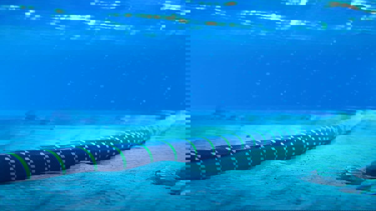 "Firmina".. كابل بحري يعزز خدمات "غوغل" السحابية