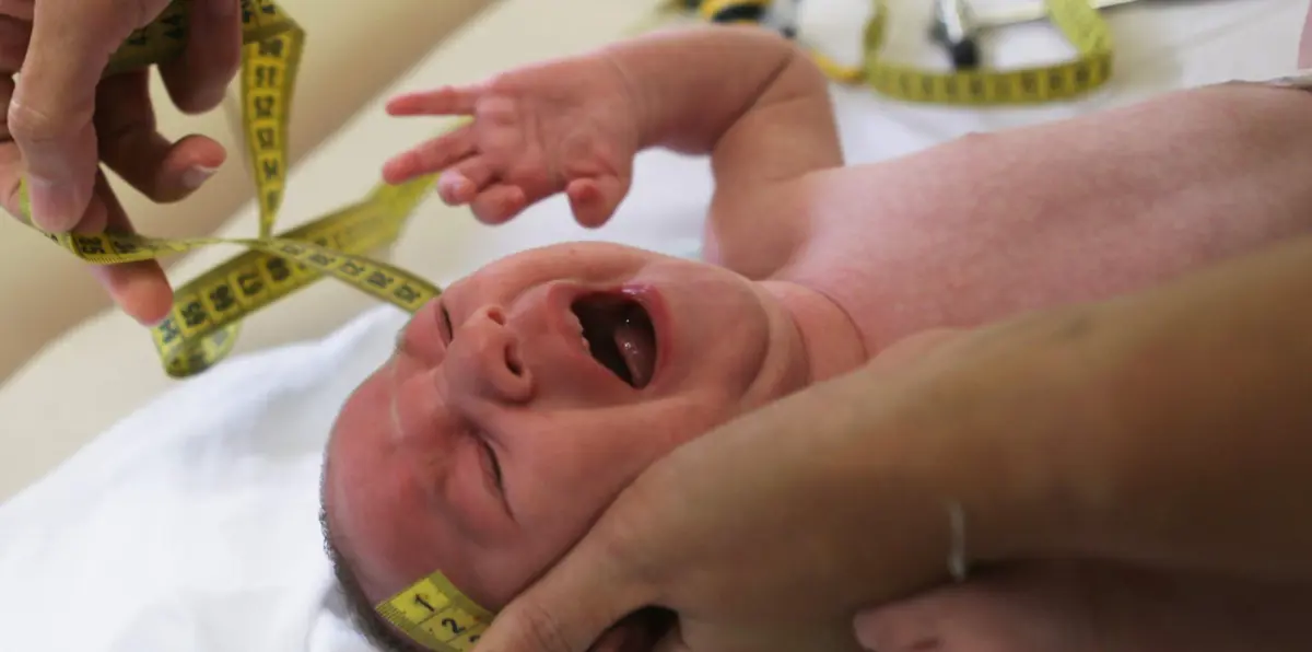 هل يمكن أن يقتل زيكا خلايا سرطان المخ؟