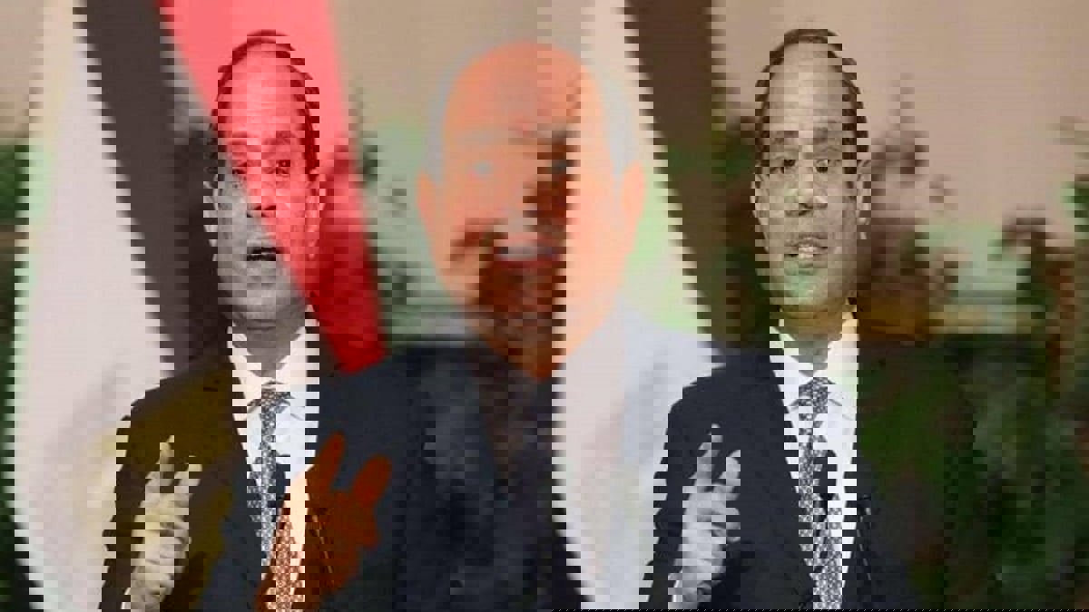 السيسي: التهديدات التي تواجه مصر تجعل الاصطفاف الوطني أمرًا حتميًا (فيديو)