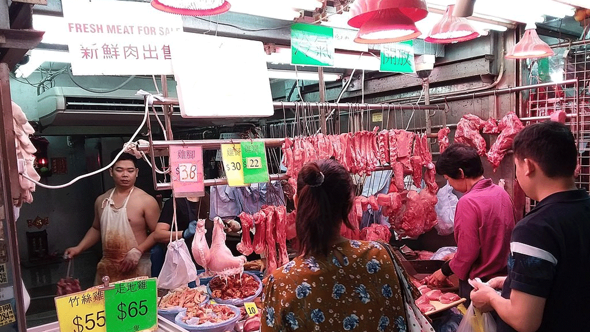 الصين: فيروس كورونا ربما بدأ في أستراليا