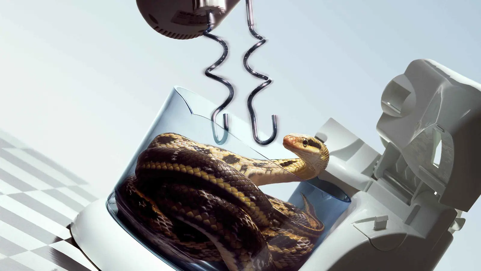 في الصيف.. مطبخك قد يكون جاذبا للثعابين أكثر مما تتوقع