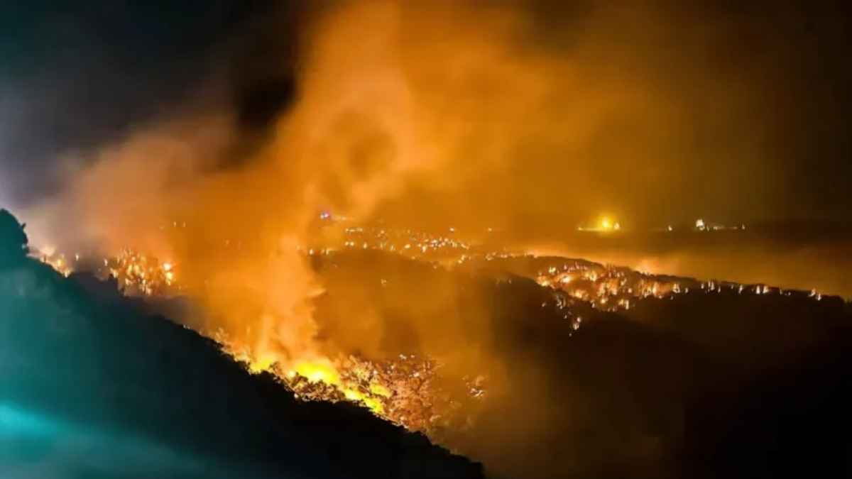 حرائق ضخمة تلتهم مساحات واسعة في الجبل الأخضر شرقي ليبيا (فيديو)