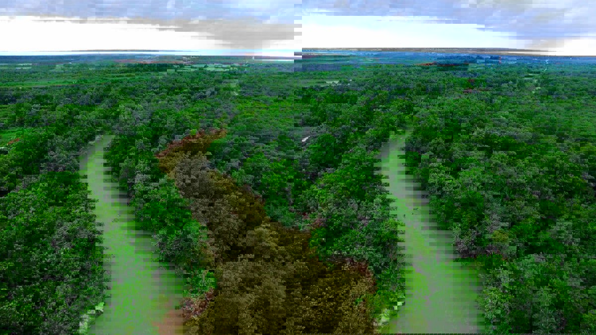 سحر وراحة.. أشهر المناطق الخضراء في العالم